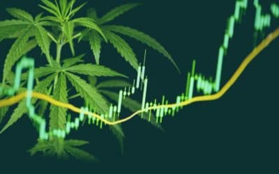 Cannabis Market News