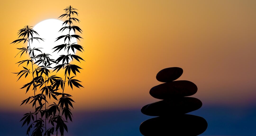 Cannabis & Meditation: Finding Your Daily Zen With Cannabis