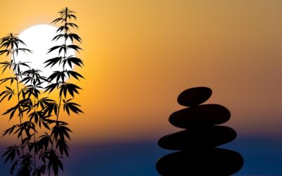 Cannabis & Meditation: Finding Your Daily Zen With Cannabis